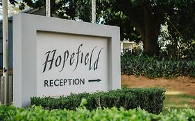 Hopefield BnB